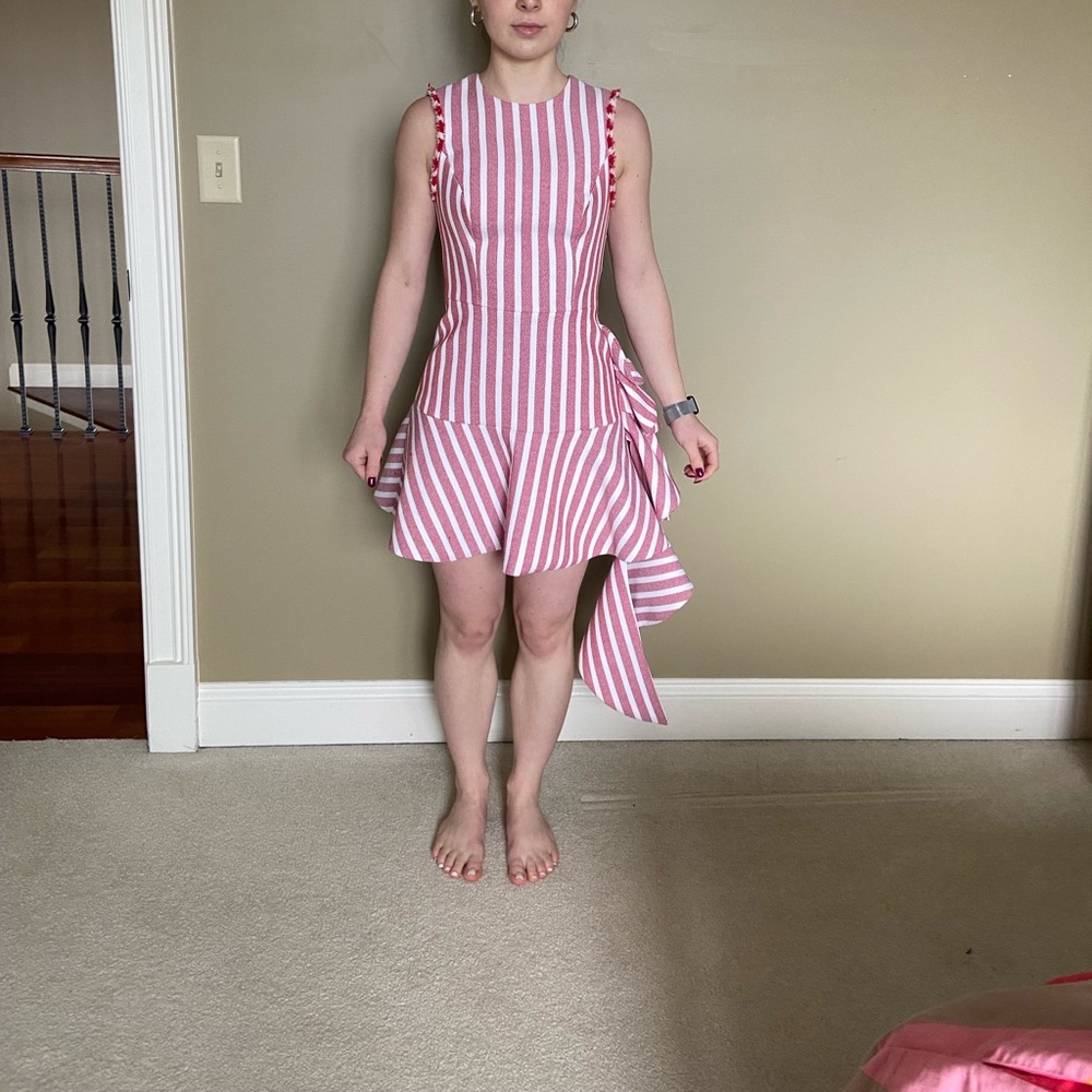 Alexis Cara dress
